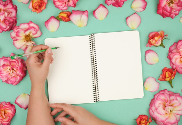 La mano femminile tiene una penna verde sopra il foglio di carta bianco