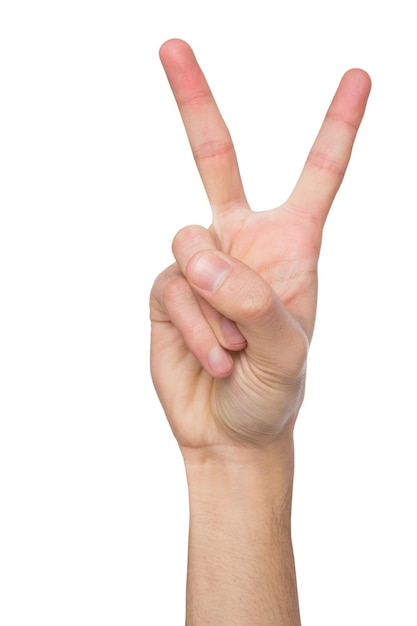 La mano mostra il numero due isolato. Conteggio gesti, enumerazione, sfondo bianco.