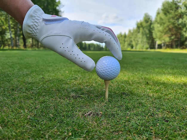 La mano tiene la pallina da golf con il tee sul campo da golf