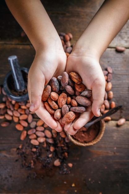 La mano tiene le fave di cacao