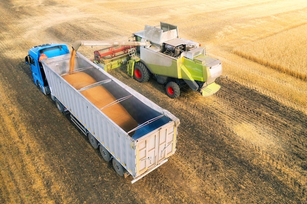 La mietitrebbia consegna il grano trebbiato al camion Stagione del raccolto nei campi agricoli