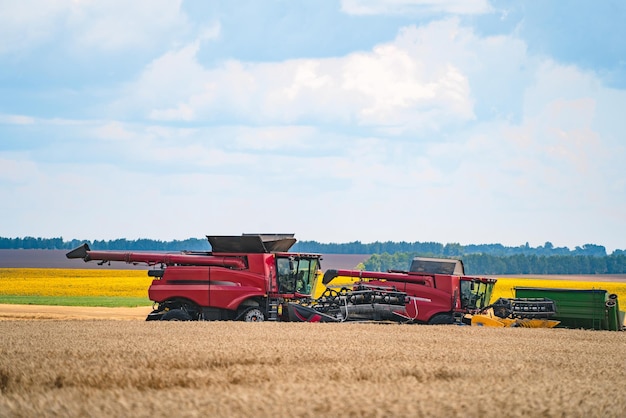 La mietitrebbia raccoglie il concetto agricolo di grano maturo