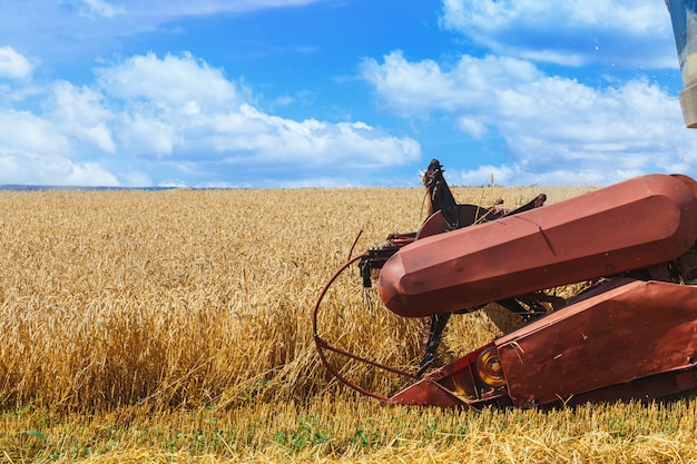 La mietitrebbia raccoglie il grano maturo nel campo di grano. Lavori agricoli in estate. Intestazione da vicino.