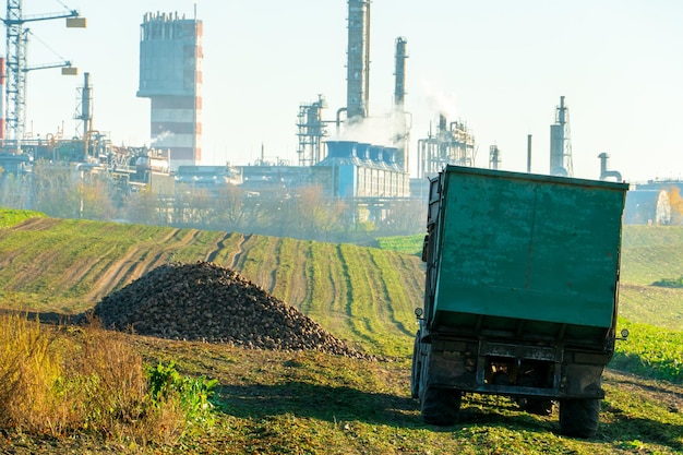 La mietitrebbia si trova su un campo agricolo durante il tramonto sullo sfondo della fabbrica Agricoltura non rispettosa dell'ambiente Coltivazione di cereali accanto a un impianto inquinante