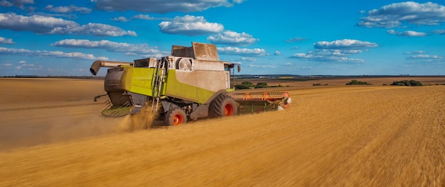 La mietitrice per cereali raccoglie nel campo