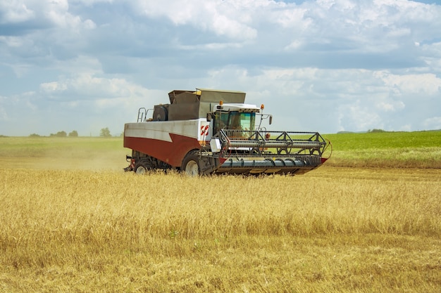 La mietitrice si muove lungo il campo con i raccolti di grano