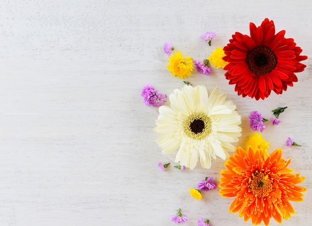 La molla fresca fiorisce la gerbera variopinta ed il fiore vario su legno bianco