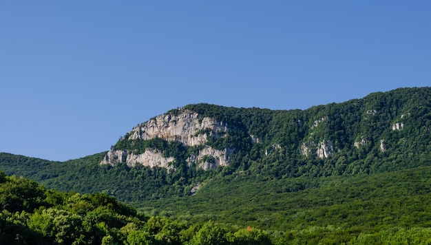 La montagna è ricoperta da una foresta verde.