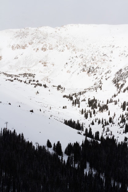 La montagna sceglie le coperture di neve.