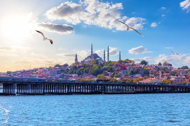 La Moschea Suleymaniye bella vista di Istanbul dal Bosforo in Turchia