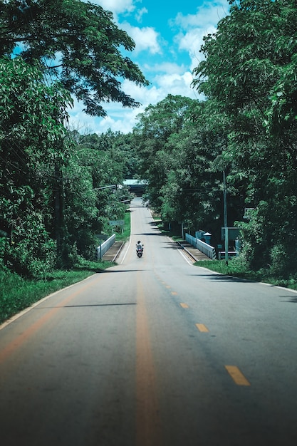 La moto sulla strada nella foresta