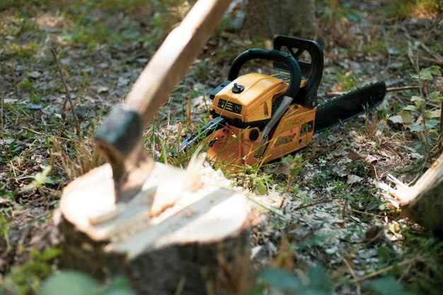 la motosega nella foresta che riposa