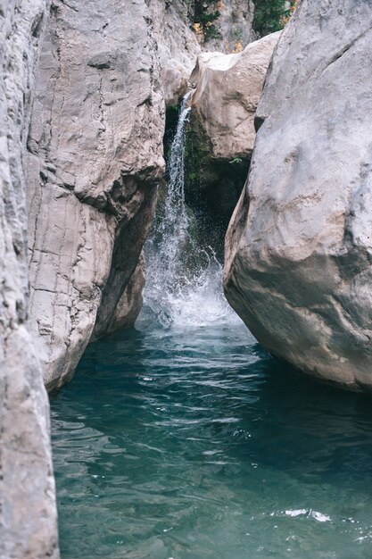 La natura così com&#39;è