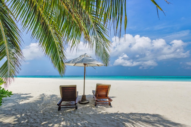 La natura della spiaggia tropicale come paesaggio estivo con sedie a sdraio e palme mare calmo per rilassarsi in spiaggia