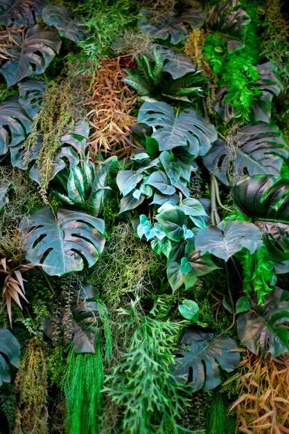 La natura è sul muro