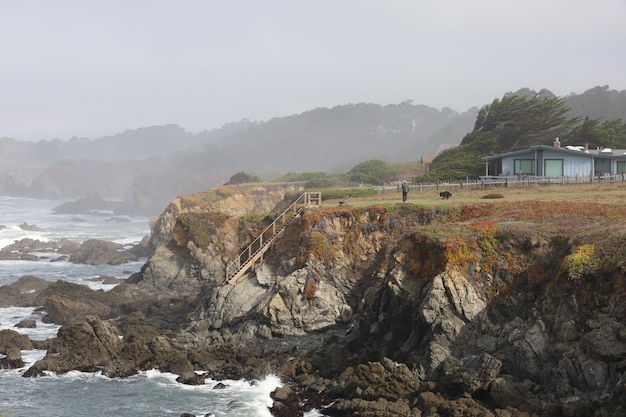 La natura nei parchi di Mendocino in California