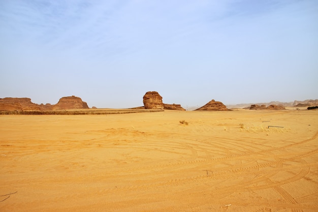 La natura nel deserto vicino Al Ula Arabia Saudita