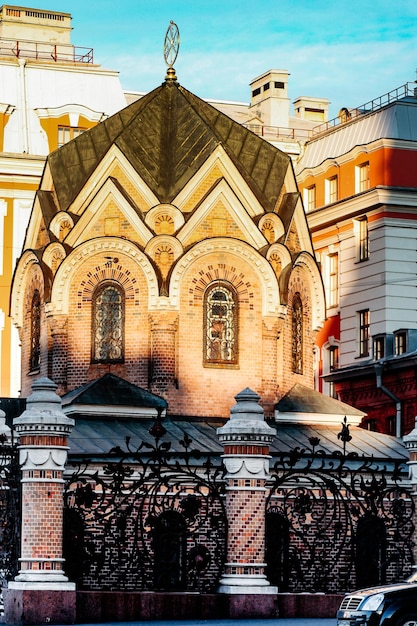La natura osserva l'architettura e la vita della città della Russia San Pietroburgo