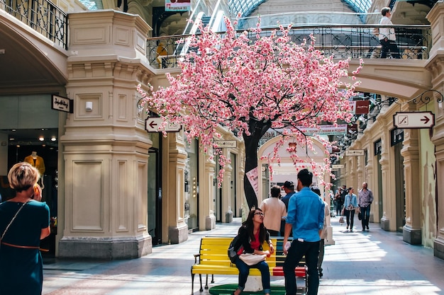 La natura osserva l'architettura e la vita della città di Mosca