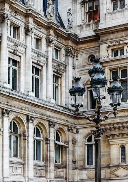 La natura osserva l'architettura e la vita della città di Parigi in Francia