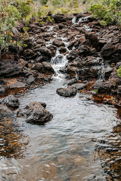 La natura vergine della Nuova Caledonia con i suoi splendidi paesaggi