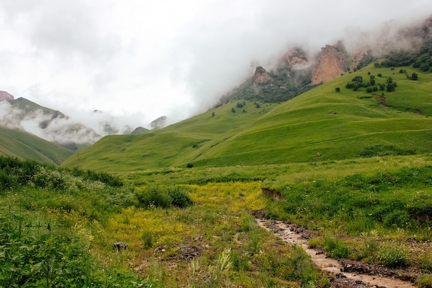 La nebbia giace sui pendii della montagna