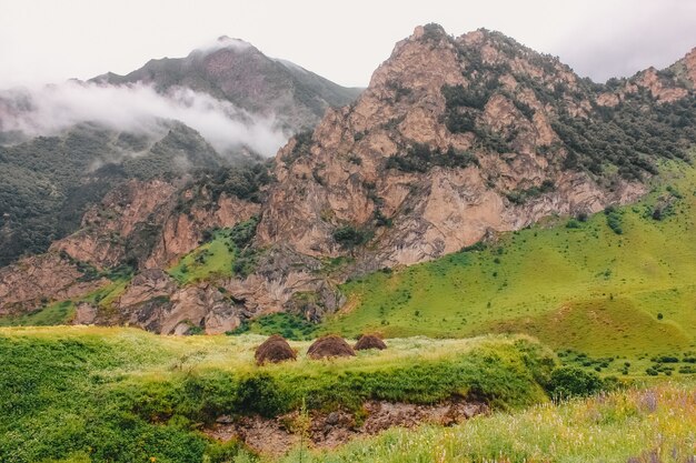 La nebbia giace sui pendii della montagna