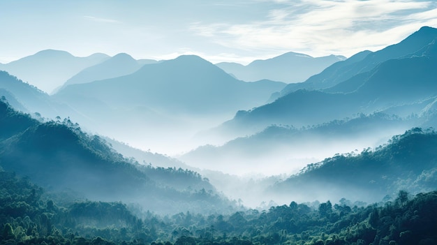 La nebbia mattutina sulle montagne del Kerala crea una scena naturale straordinariamente serena