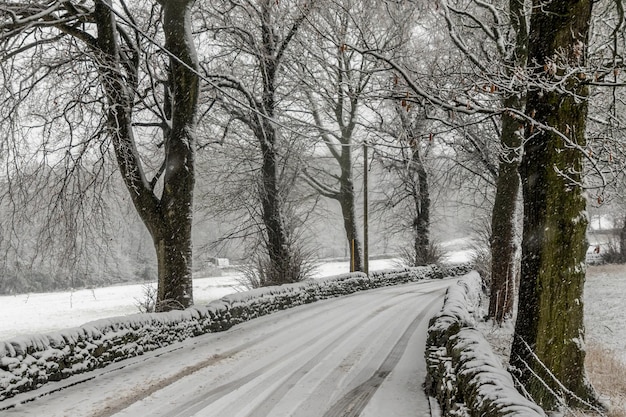 La neve copre le strade