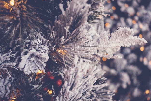 La neve ha glassato l'albero di Natale con bokeh defocused festivo, fondo di feste