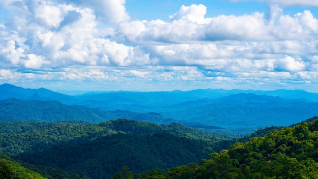 La nuvola si muove sopra la montagna nella stagione delle piogge. La foresta in tropicale.