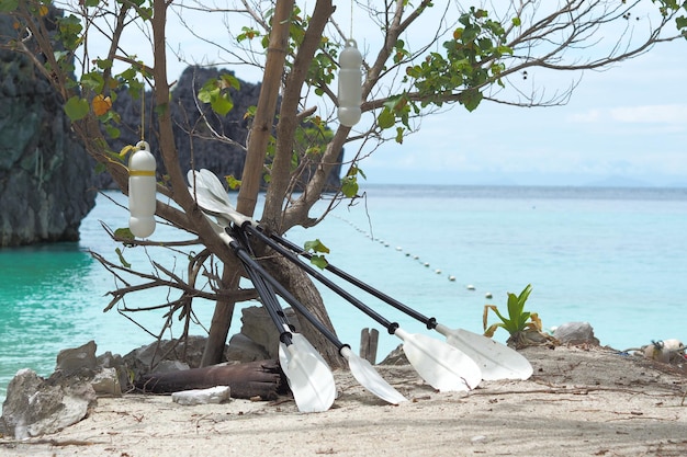 La pagaia bianca del kayak posizionata contro l'albero sullo sfondo del mare e della spiaggia.