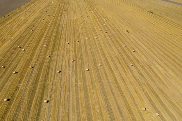 La paglia pressata in rotoli in file giace sul campo. Vista aerea. Foto da un drone.