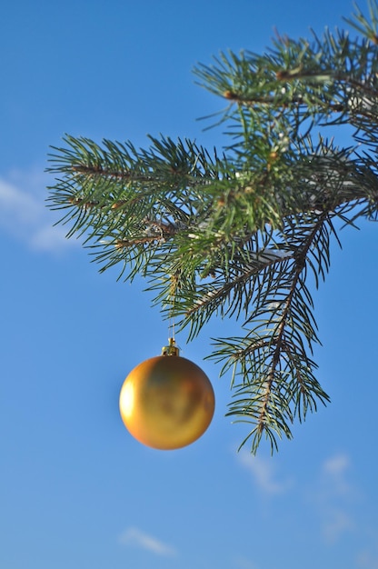 La palla d'oro su un ramo dell'albero di Natale