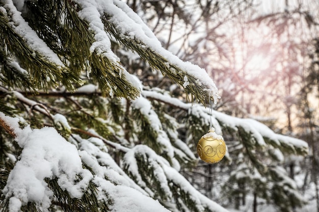 La palla di Natale è appesa a un albero invernale coperto di neve nella foresta