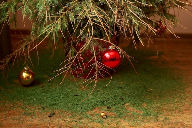 La palla di Natale è appesa al ramo secco dell'albero di Natale