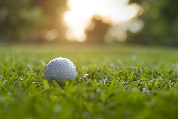 La pallina da golf si trova su un prato verde in un bellissimo campo da golf