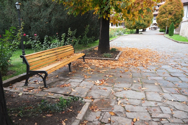 La panca in legno di ferro battuto si trova in un parco autunnale intorno alle foglie gialle appassite il suo autunno