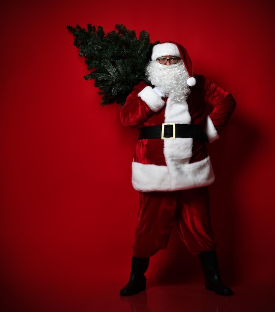 La pancia grassa felice di Babbo Natale porta un albero di Natale e mette la mano sulla pancia su uno sfondo rosso