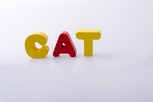 la parola CAT scritta con blocchi di lettere colorate