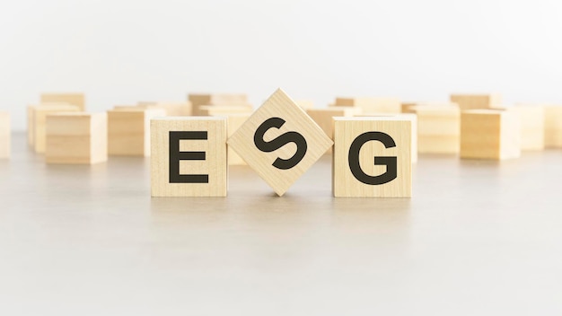 La parola ESG è composta da blocchi di legno su sfondo bianco