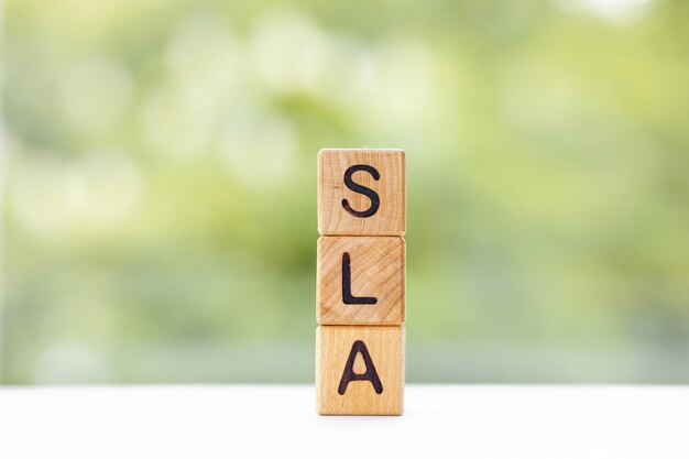 La parola SLA è scritta su cubi di legno su uno sfondo verde estivo Primo piano di elementi in legno