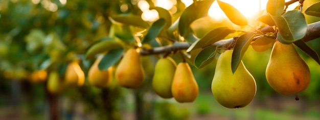 La pera cresce su un albero nel giardino del raccolto Generative Ai