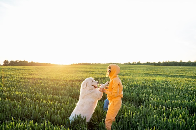 La persona gioca con il cane sul campo verde durante il tramonto