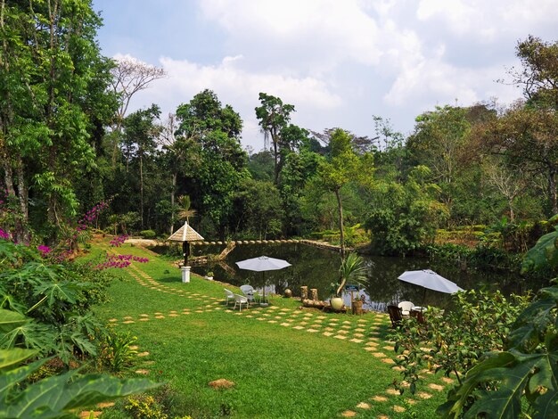 La piantagione di caffè in Laos