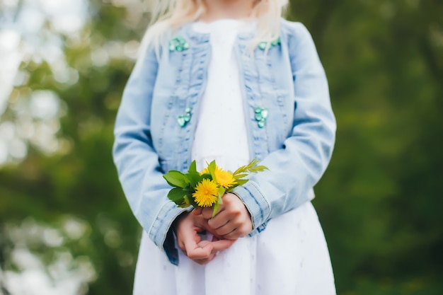 La piccola ragazza sta tenendo i fiori gialli della camomilla. Foto di alta qualità