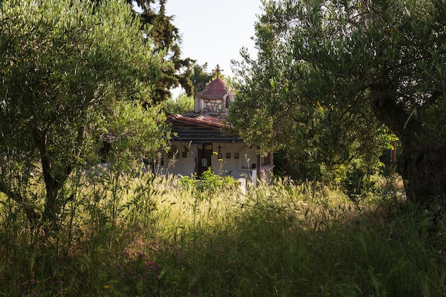 La piccola vecchia chiesa ortodossa con muri in pietra e tetto di tegole è circondata da ulivi ed erba alta