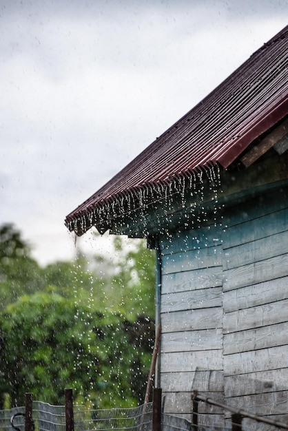 La pioggia battente gocciola dal tetto