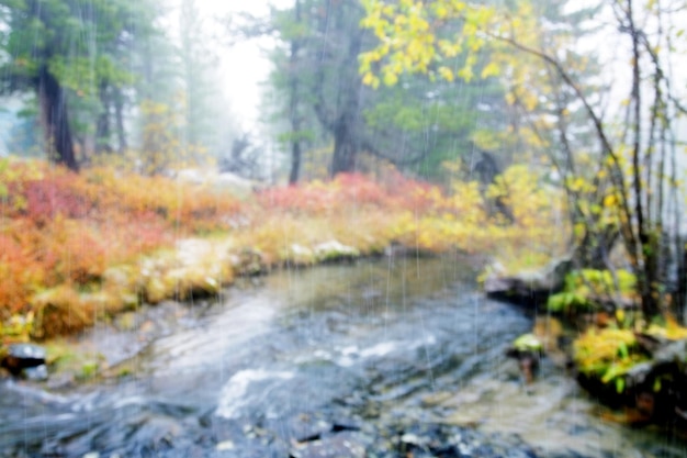 La pioggia sta cadendo fiume e foresta in autunno sfondo sfocato