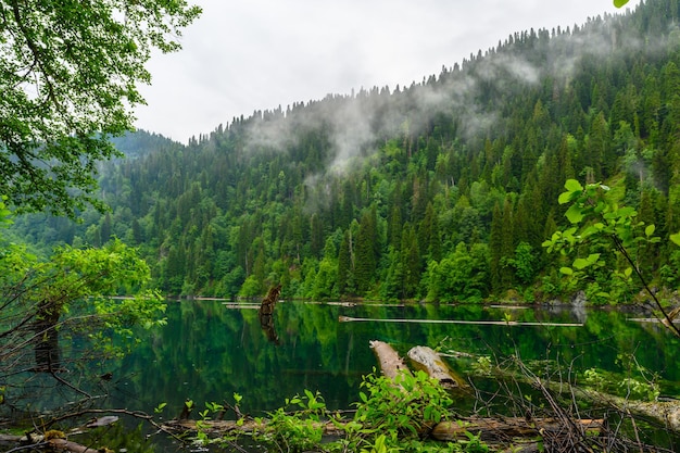 La pioggia tropicale battente gocce di pioggia sullo sfondo del lago e alberi verdi